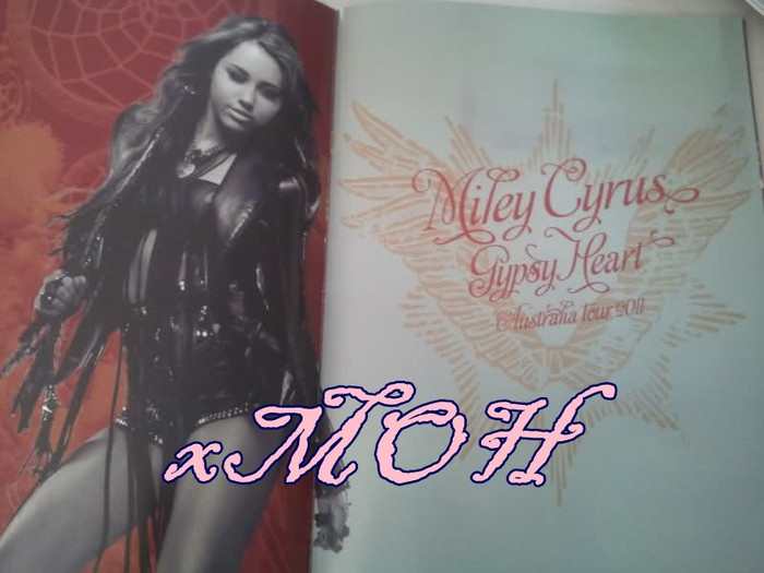 GHT Book (11) - Gypsy Heart Tour Book