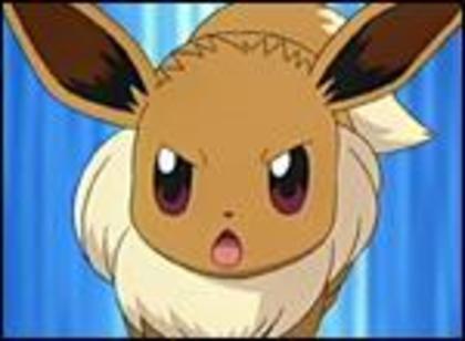 Eevee:Eeeee....