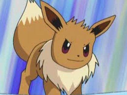 Eevee:Eevee!