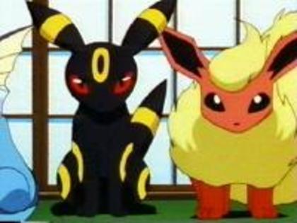 Cei 2:Asa e! Brovo Eevee! - Ultra Ballte Pokemon episodul 6