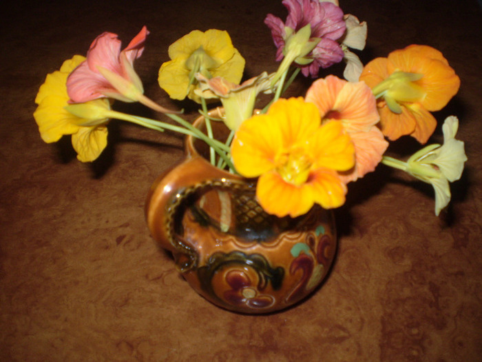 P6210005; tropaeolum in cana de lut
