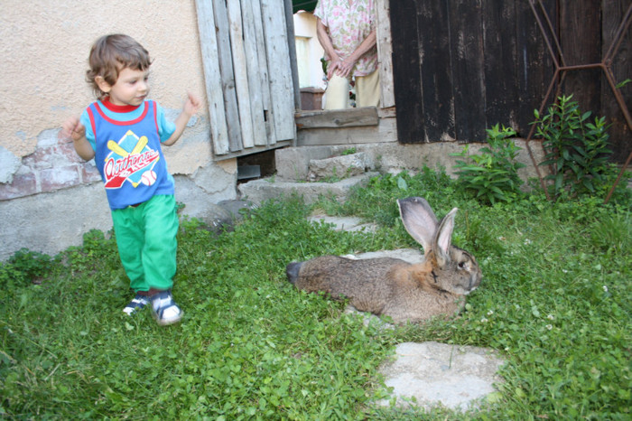 Mascul .2 ani la povesti cu un mascul de 1 an