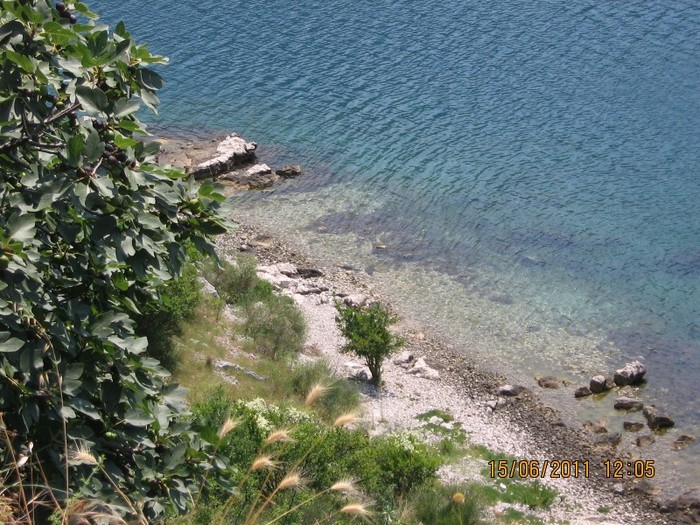 becici 042 - 2011 - Becici Muntenegru