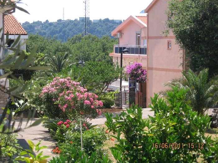 becici 113 - 2011 - Becici Muntenegru