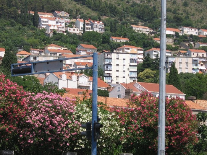 becici 234 - 2011 - Becici Muntenegru