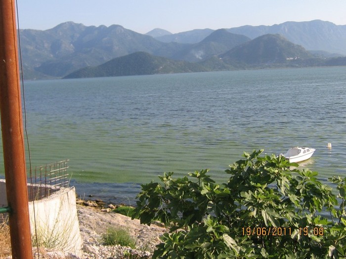 becici 308 - 2011 - Becici Muntenegru