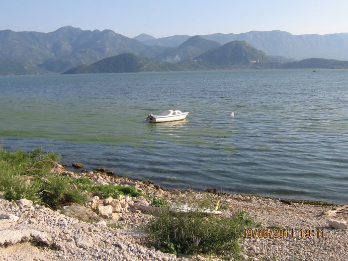 becici 312 - 2011 - Becici Muntenegru