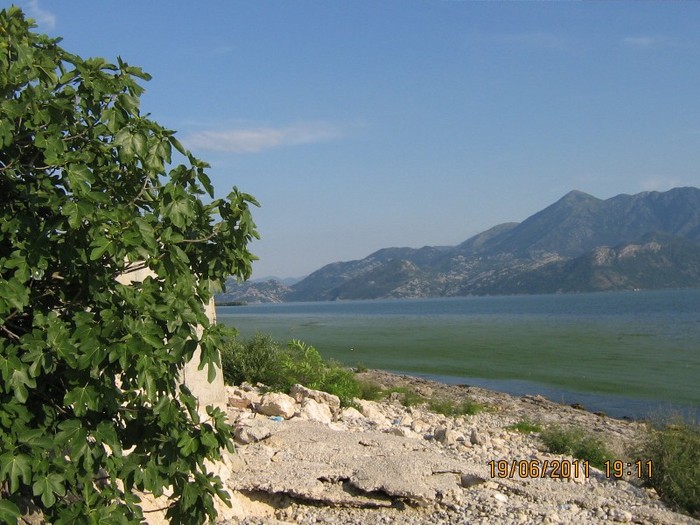 becici 313 - 2011 - Becici Muntenegru