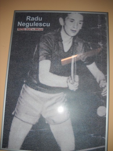 Dr. Negulescu, campion