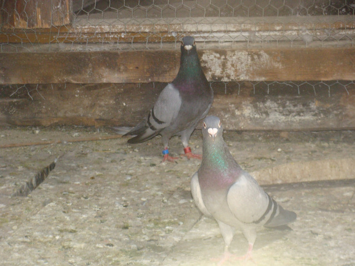 DSC05602