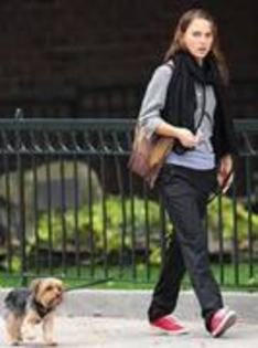 Natalie Portman - Stirea3 Yorkie cel mai cautat caine de vedete