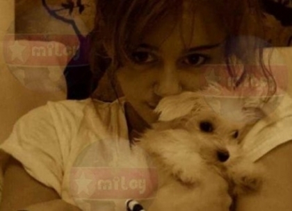 normal_miley-cyrus-sophie - MileyWorld Pictures