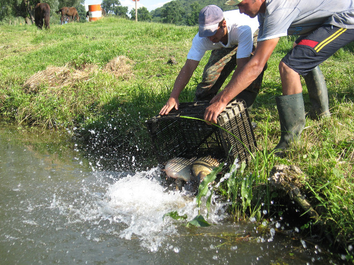 IMG_2080 - PESCUIT 2011