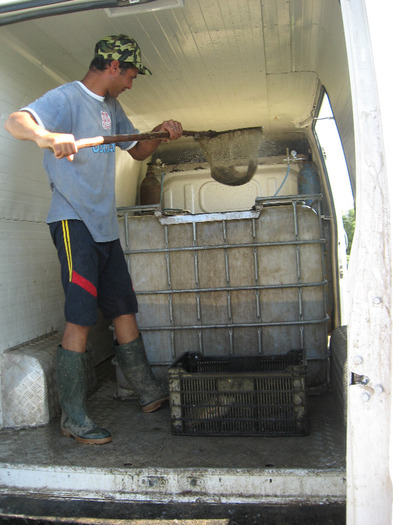 IMG_2081 - PESCUIT 2011