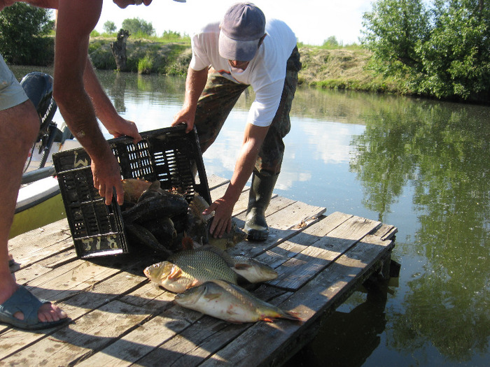 IMG_2082 - PESCUIT 2011