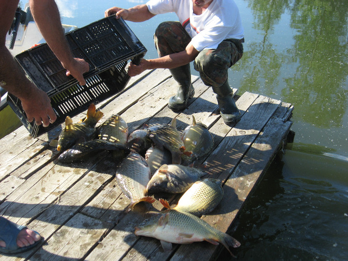 IMG_2083 - PESCUIT 2011