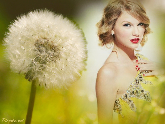 taylor-swift-taylor-swift-22921236-800-600