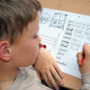 copil_scoala_300x300 - x School x