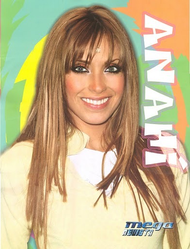 132110072005521317iv