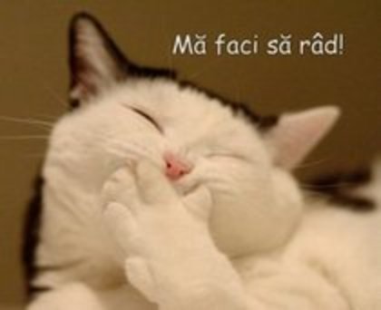 12335128_UDNVIMJED