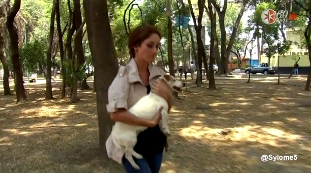 54 - Dos Hogares Promos y Trailer