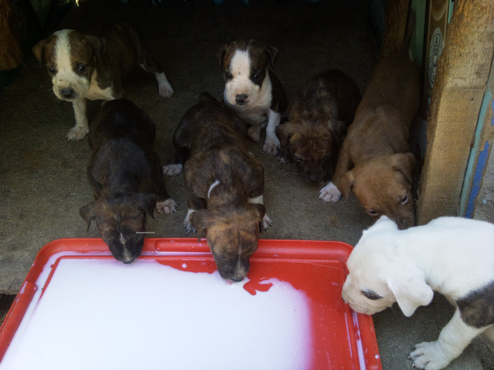 Photo325 - Sara si Leo