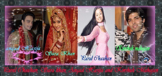35627_116094265129283_100001861318900_114326_8294072_n - parul chuhan ragni culoarea fericirii