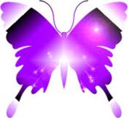fluture maiastru - Imagini frumoase