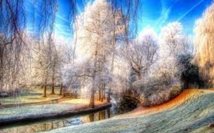 iarna in culori - Imagini frumoase