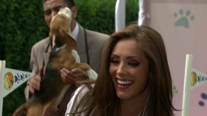 normal_019 - Dos Hogares Promos y Trailer