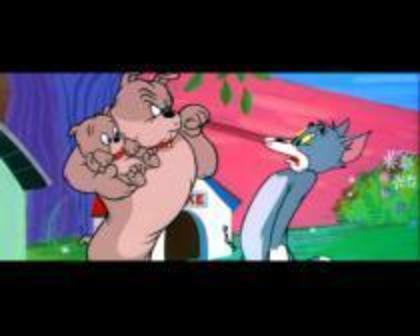 11 - tom si jerry