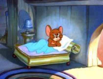 13 - tom si jerry