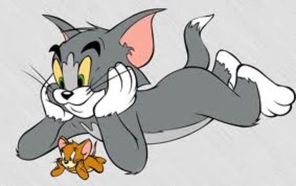 21 - tom si jerry