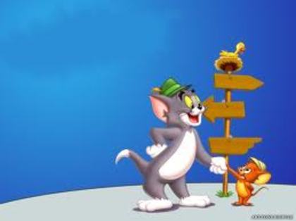 22 - tom si jerry