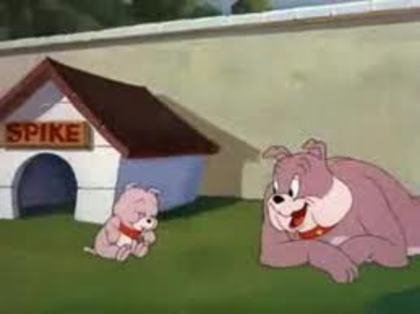 25 - tom si jerry