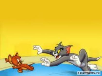 28 - tom si jerry