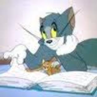 47 - tom si jerry