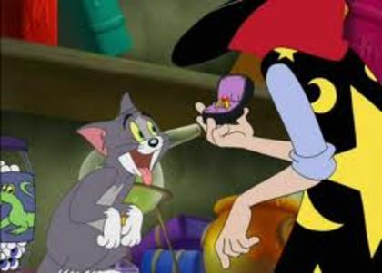 53 - tom si jerry