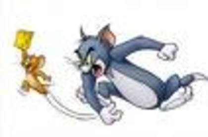 59 - tom si jerry