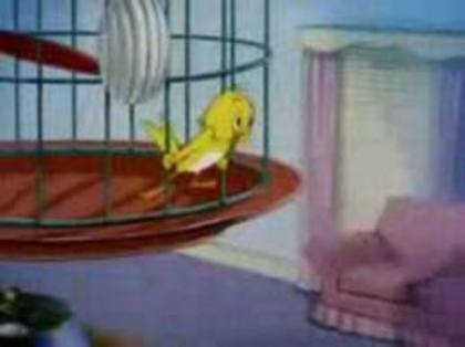 61 - tom si jerry