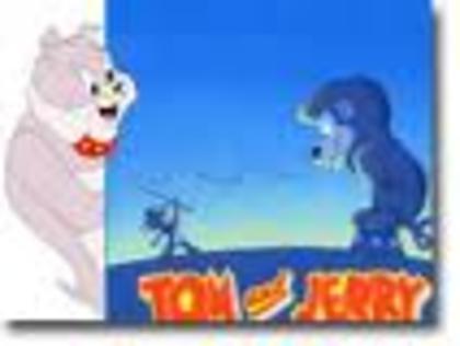 78 - tom si jerry
