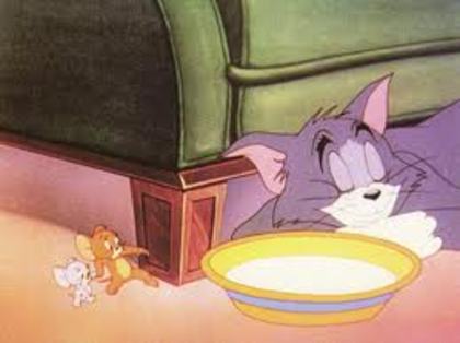 79 - tom si jerry