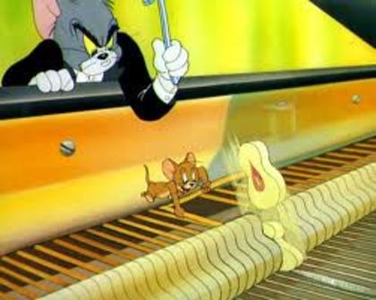 80 - tom si jerry