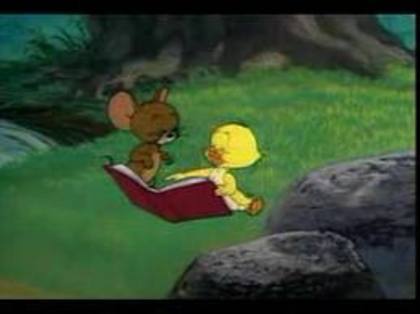 82 - tom si jerry