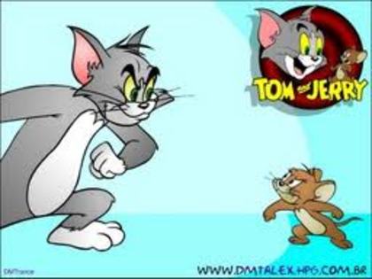 88 - tom si jerry
