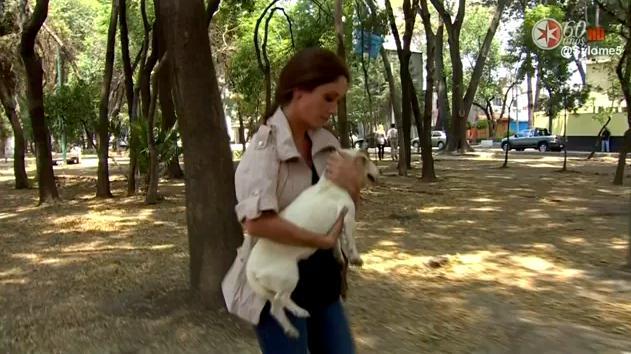 Copyof5 - Any TRAILER 2 - 2 hogares