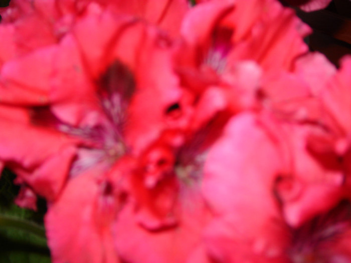 DSC03556