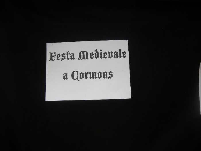 Picture 1542 - SERBARILE MEDIEVALE ALE BISTRITEI 2011