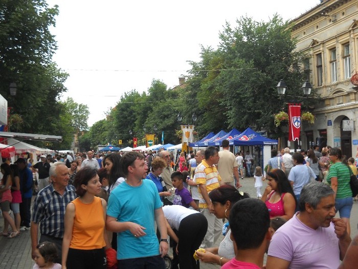 ...........lume  pestrita...... ...........lume  pestrita......