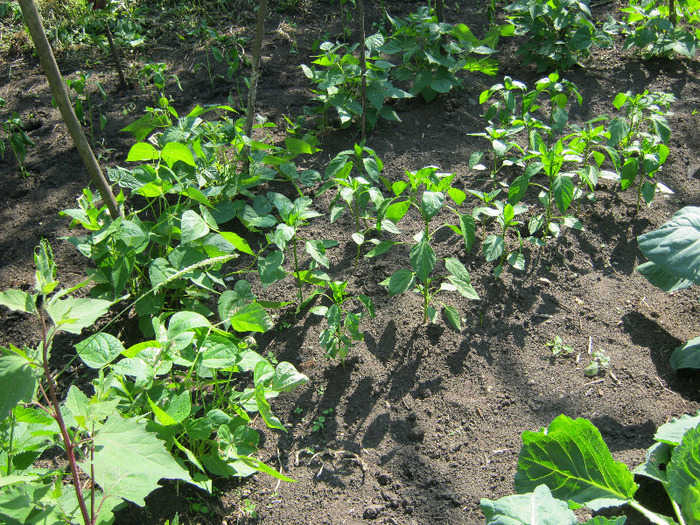 iunie 2011 part 2 106